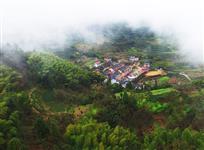 竹林深处有人家