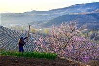 一年之计在于春