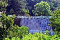 树阴照水爱晴柔