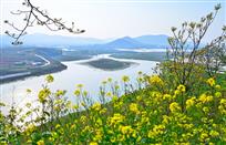 兰陵美景赛江南