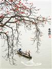 春捕图