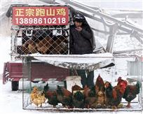 微信时代