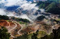 梨花村的幸福大道