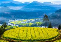婺源春