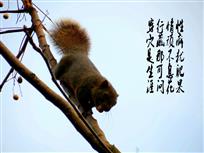 收获