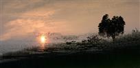 《废黄河湿地晨曲》
