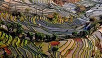 画意田园