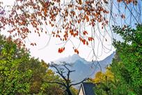 多彩的秋