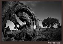 坚持能够站起来的信念