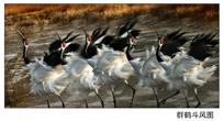 群鹤斗风图