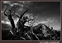 一个倒下又站起倒下又站起的漫长故事