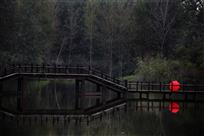 木桥上的等待