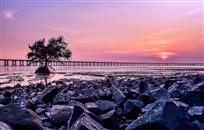 夕阳依岸尽