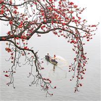 春满岭南