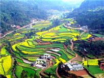青神梯田