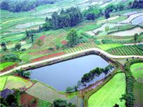 半亩方塘一鉴开