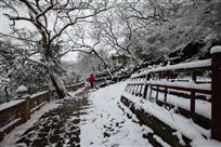 踏雪寻美第一山