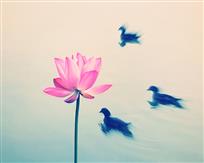 逐荷