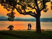 夕阳倩影