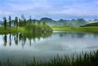山水情