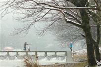 雪中游人