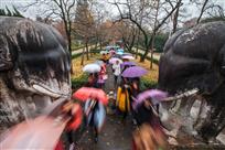 雨中漫步石像路