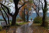 湖畔秋雨