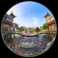 《锦上添花耀新村》