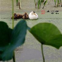 《祥和一家亲》