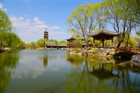 这里是榆树庄公园