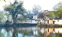 春到宏村