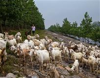 魅力金湖