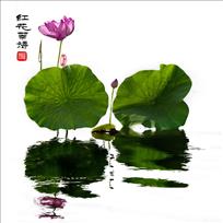 红花翠语