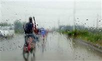 雨中情
