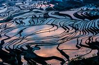 人勤春更早