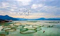 “云蒸霞蔚，樵村渔浦”——霞浦