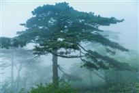 雾锁黄山