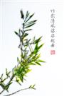 画竹