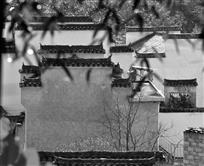 翠竹青瓦