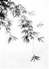 墨竹图