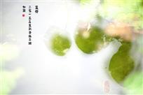 夏荷