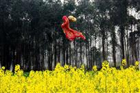 花影丽人