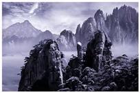 如摄如画