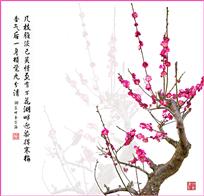 梅影