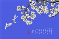 玉兰双鸽图