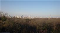 现代的大都市