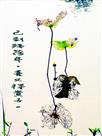 喜得“贵子”