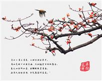英雄花开