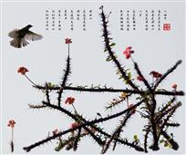 极乐鸟