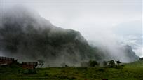 高山草甸